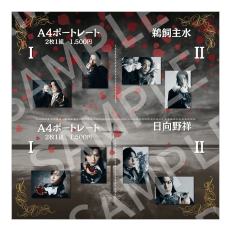 過去公演A4ポートレート