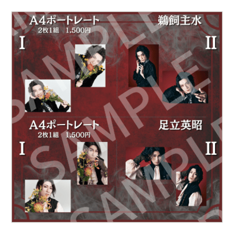 過去公演A4ポートレート