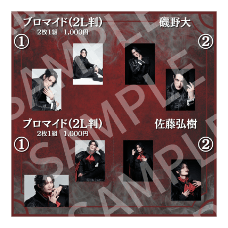 過去公演2L判ブロマイド