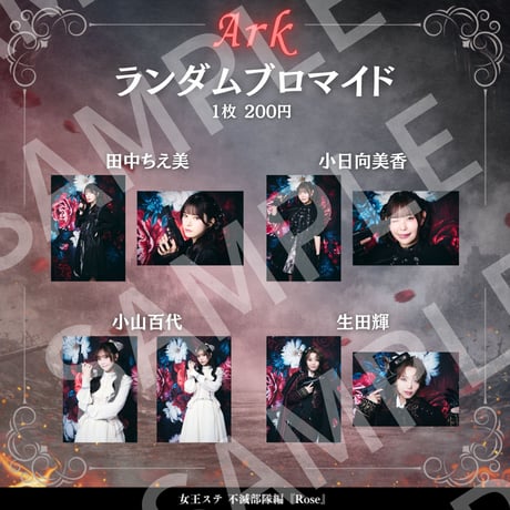 【女王ステ不滅部隊編『Rose』】ランダムブロマイド