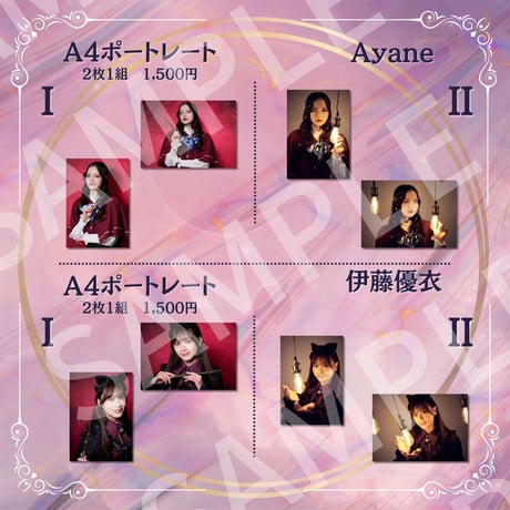 【イリス・ノワール】過去公演A4ポートレート