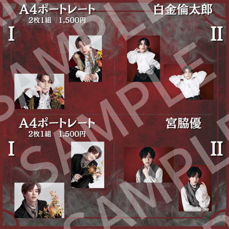 過去公演A4ポートレート