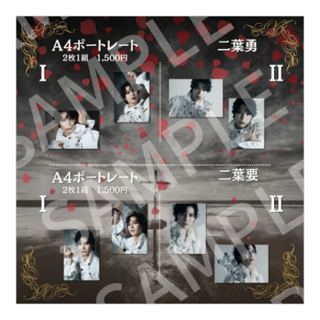 過去公演A4ポートレート