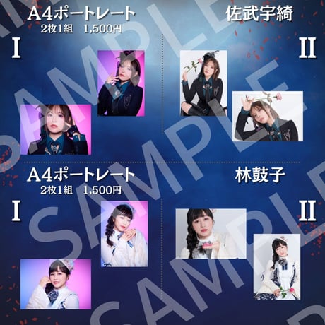 【月よ女王に嗤え】A4ポートレート