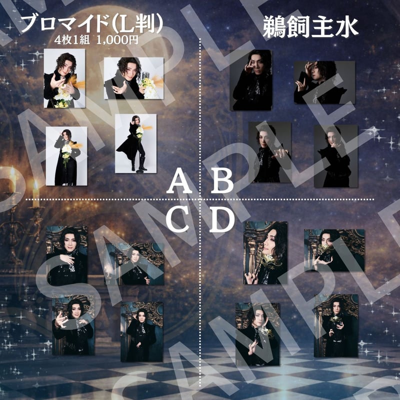 王ステ THE LIVE 2026】L判ブロマイド | ILLUMINUS STORE