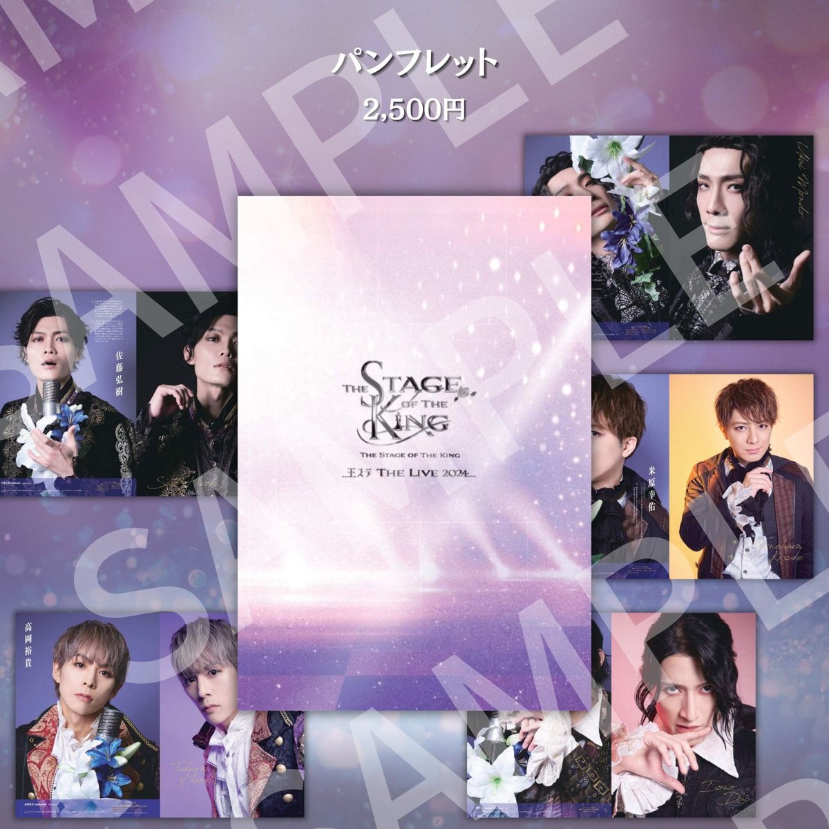 舞台FROGS パンフレットセット 舞台FROGS パンフレットセット 2025年