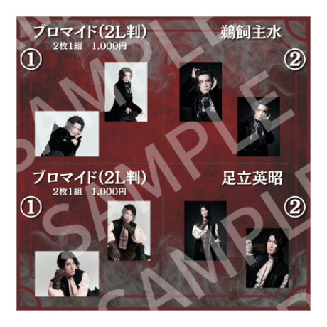 過去公演2L判ブロマイド