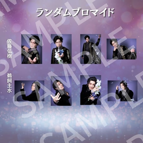 【王ステ THE LIVE 2024】ランダムブロマイド