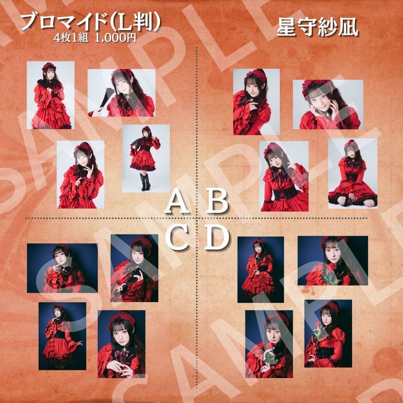 須王環　ブロマイド 楽園の女王2024】L判ブロマイド | ILLUMINUS STORE