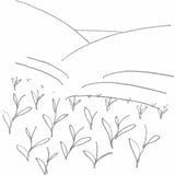 ichibataen