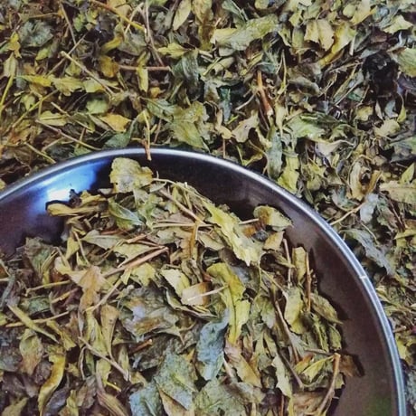 出雲番茶
