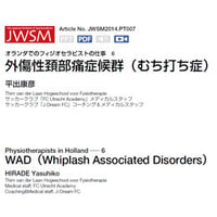 理学療法 オランダでのフィジオセラピストの仕事6 外傷性頚部痛症候群（むち打ち症）