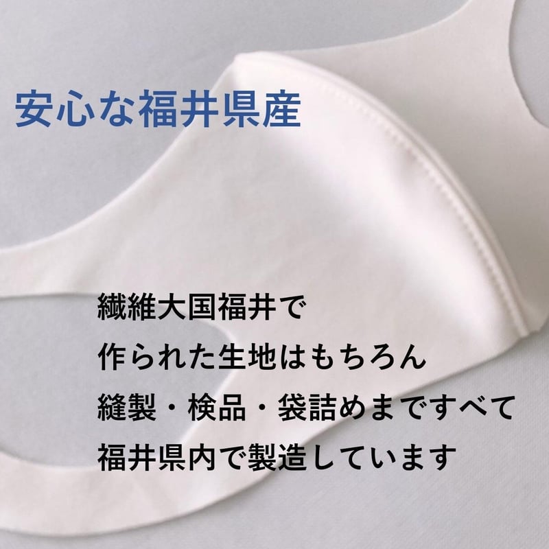 恐竜）SS（子供）サイズ ネイビー（2枚入り） | 稲邦株式会社 TOHOco.,LTD
