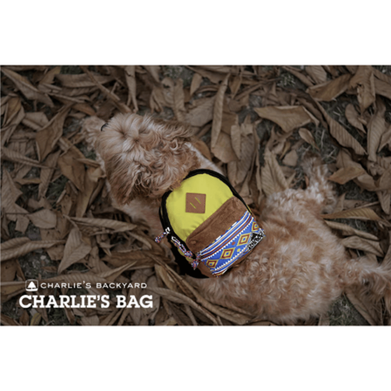 CHARLIE'S BAG NAVY チャーリーズバック ネイビー | n47