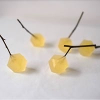 鉱物の実(黄)