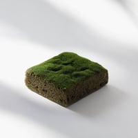 苔筵 6/19(金)発送