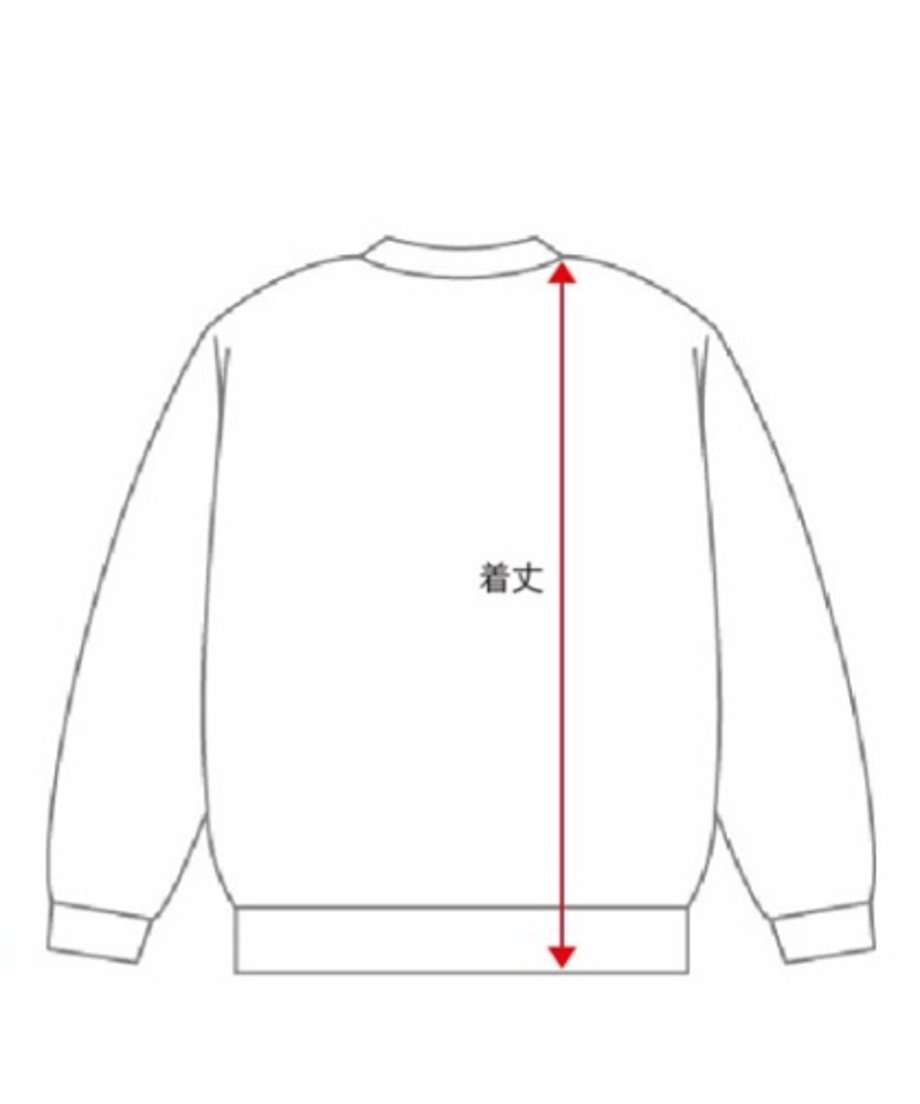 67c0087ce6335d0486c09db7