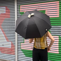 26SUM01  【長傘】