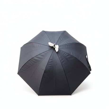 26SUM01  【長傘】