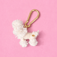 26SCB-POODLE-WHITE