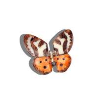 ヘアクリップ -TIGER MOTH-