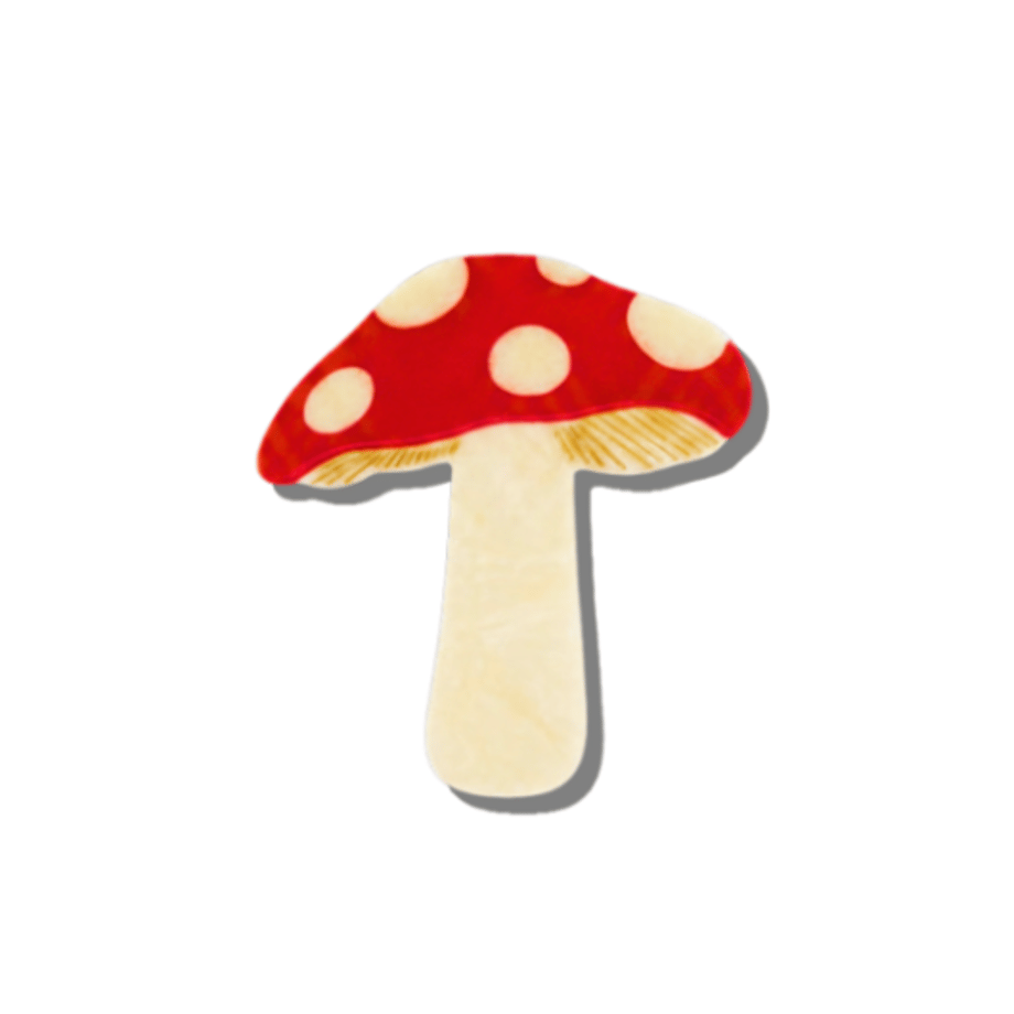 6a38ebbb7f5ecd0049ca5993