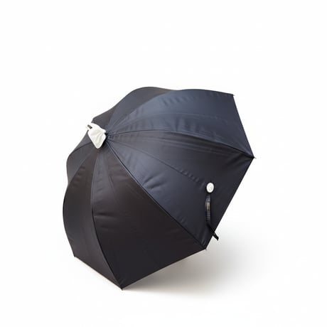 26SUM01  【長傘】