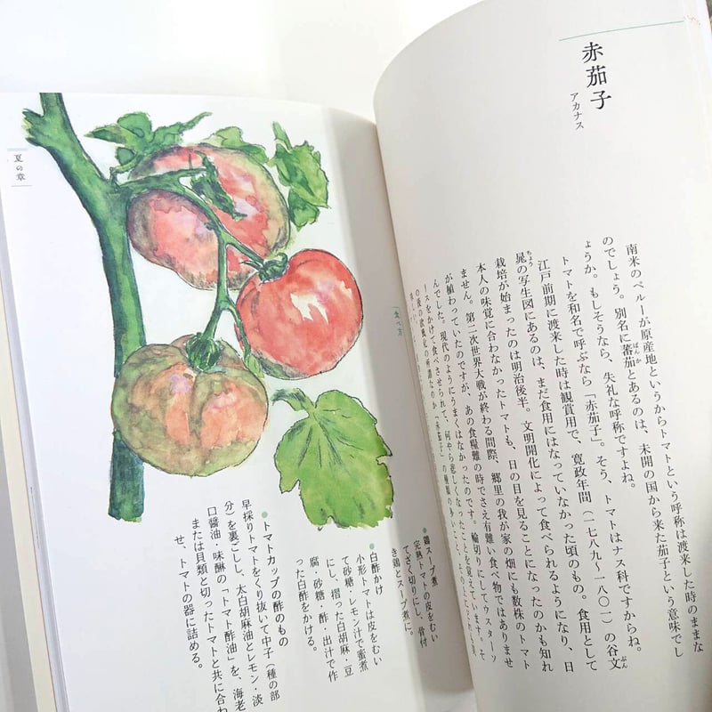 料理本 大図鑑 せかいのりょうり | 書籍 | 小学館