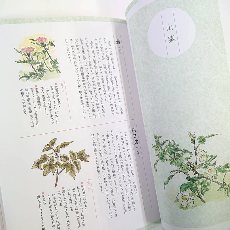 浪速割烹㐂川のおいしい野菜図鑑 春夏編 | 西日本出版社 の本屋
