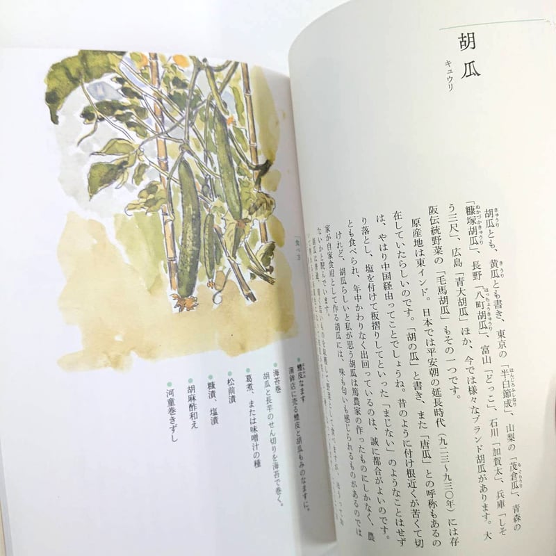 浪速割烹㐂川のおいしい野菜図鑑 春夏編 | 西日本出版社 の本屋