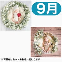 返送料別途負担【9月予定日の方事前予約枠】フランネルシャビーリース＆2wayスワッグ〈NB〉