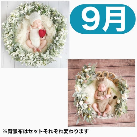 返送料別途負担【9月予定日の方事前予約枠】フランネルシャビーリース＆2wayスワッグ〈NB〉