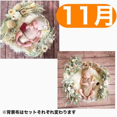 返送料別途負担【11月予定日の方事前予約枠】ミントグラス＆2wayスワッグ〈NB〉