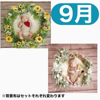 返送料別途負担　背景は茶【9月予定日の方事前予約枠】着せ替えミニひまわりリース＆2wayスワッグ〈NB〉