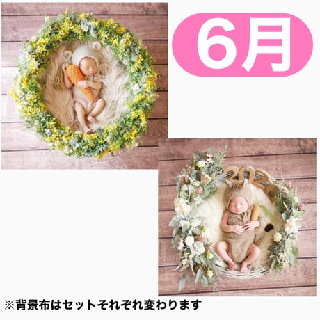 返送料別途負担【6月予定日の方事前予約枠】ミモザリース ＆2wayスワッグ〈NB〉