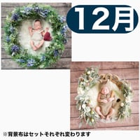 返送料別途負担【12月予定日の方事前予約枠】着せ替えラベンダーリース＆2wayスワッグ〈NB〉