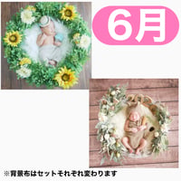 返送料別途負担【6月予定日の方事前予約枠】着せ替えひまわりリース＆2wayスワッグ〈NB〉