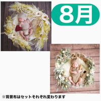 返送料別途負担【8月予定日の方事前予約枠】ホワイトミモザスワッグ＆2wayスワッグ〈NB〉