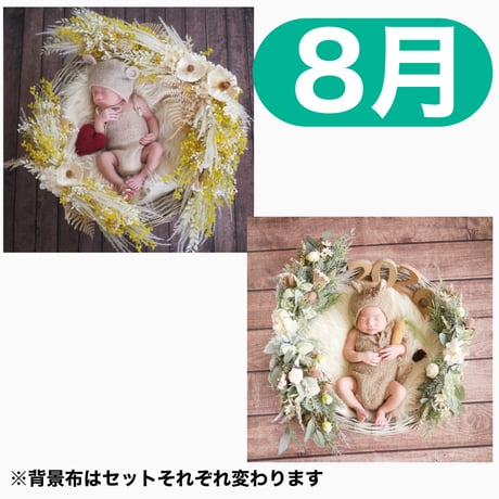 返送料別途負担【8月予定日の方事前予約枠】ホワイトミモザスワッグ＆2wayスワッグ〈NB〉