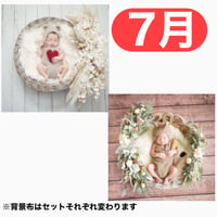 返送料別途負担【7月予定日の方事前予約枠】ペールホワイトスワッグ＆2wayスワッグ〈NB〉