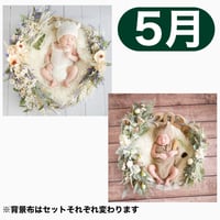 返送料別途負担【5月予定日の方事前予約枠】ブルーホワイトスワッグ＆2wayスワッグ〈NB〉