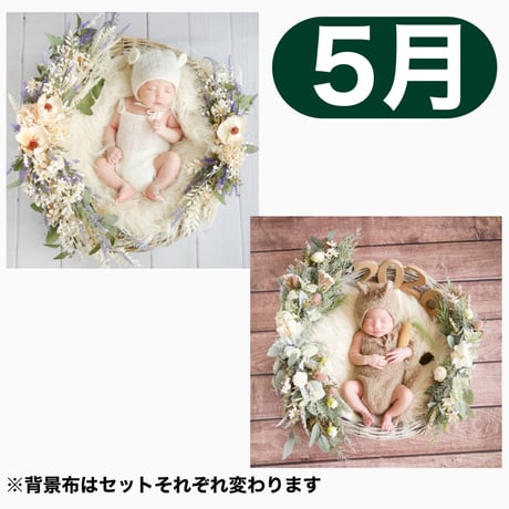 返送料別途負担【5月予定日の方事前予約枠】ブルーホワイトスワッグ＆2wayスワッグ〈NB〉