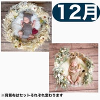 返送料別途負担【12月予定日の方事前予約枠】パームフラワーリース＆2wayスワッグ〈NB〉