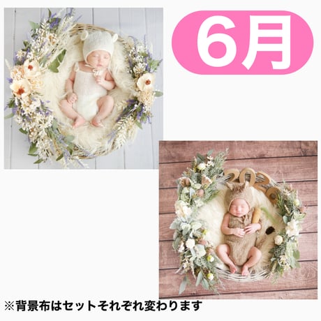 返送料別途負担【6月予定日の方事前予約枠】ブルーホワイトスワッグ＆2wayスワッグ〈NB〉