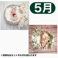返送料別途負担【5月予定日の方事前予約枠】ペールホワイトスワッグ＆2wayスワッグ〈NB〉