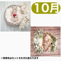 返送料別途負担【10月予定日の方事前予約枠】ペールホワイトスワッグ＆2wayスワッグ〈NB〉