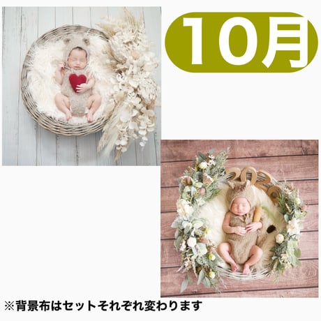 返送料別途負担【10月予定日の方事前予約枠】ペールホワイトスワッグ＆2wayスワッグ〈NB〉