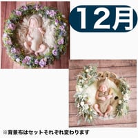 返送料別途負担【12月予定日の方事前予約枠】くすみパープルのリース＆2wayスワッグ〈NB〉