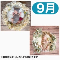 返送料別途負担【9月予定日の方事前予約枠】パームフラワーリース＆2wayスワッグ〈NB〉