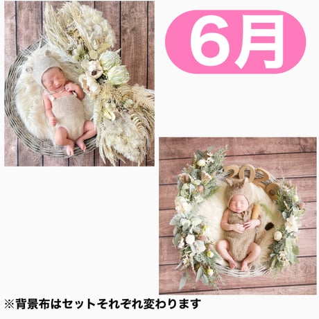 返送料別途負担【6月予定日の方事前予約枠】ホワイトドライスワッグ＆2wayスワッグ〈NB〉
